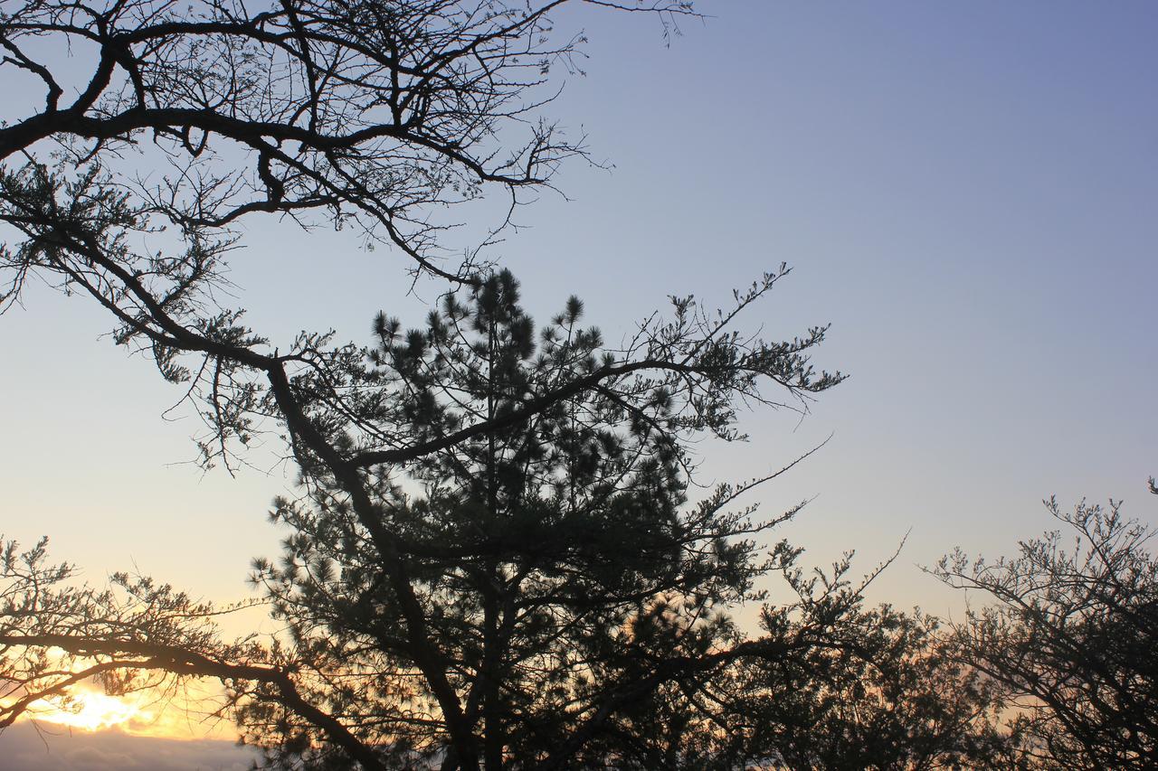 Acacia Bush Lodge Pietermaritzburg Luaran gambar